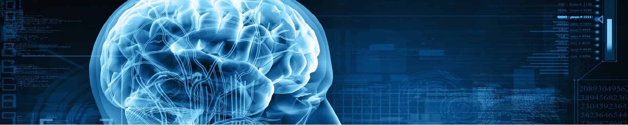 An image to illustrate the Postgraduate Diploma in Mental Health Science